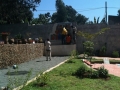 Pubic garden